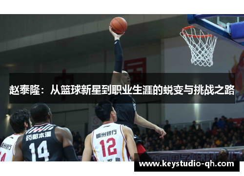 赵泰隆：从篮球新星到职业生涯的蜕变与挑战之路
